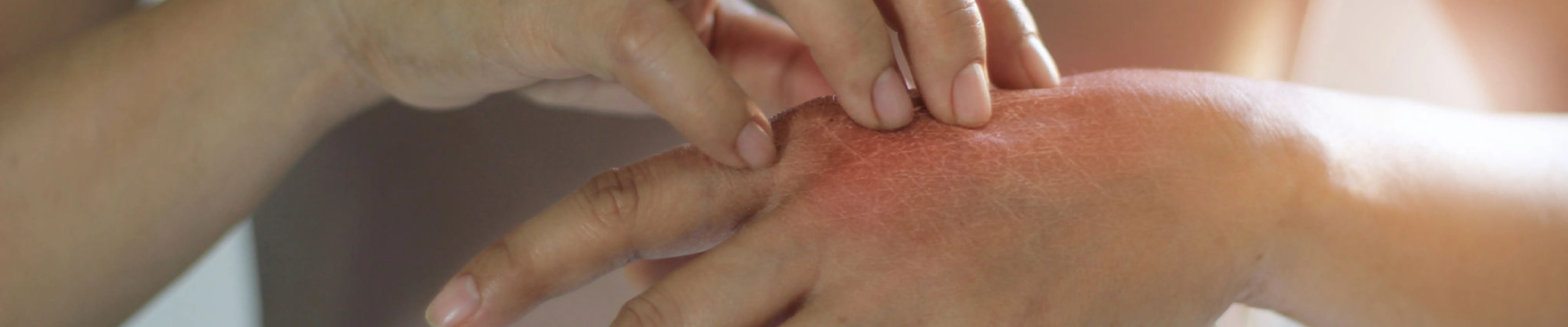 carpet cleaning in bronx, carpet cleaning in bronx, carpet cleaning bronx, carpet cleaners in bronx, carpet cleaners in bronx, commercial carpet cleaning, commercial carpet cleaning in bronx, bronx rug cleaners, rug cleaning services in bronx, same day carpet cleaning, same day rug cleaning