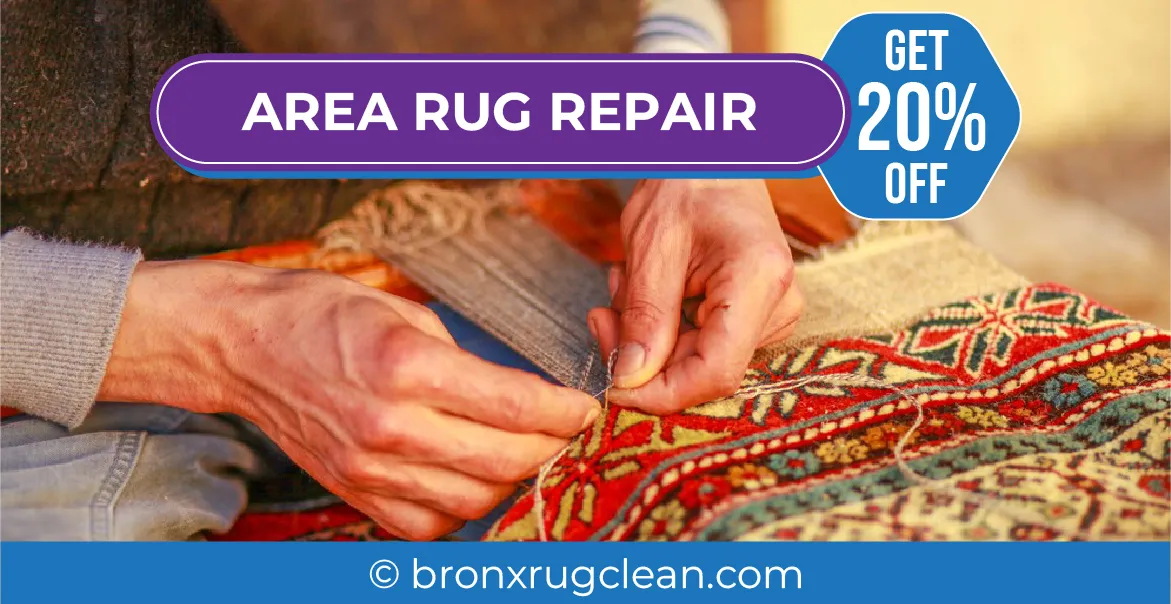 carpet cleaning in bronx, carpet cleaning in new york, carpet cleaning bronx, carpet cleaners in bronx, carpet cleaners in new york, commercial carpet cleaning, commercial carpet cleaning in bronx, bronx rug cleaners, rug cleaning services in bronx, same day carpet cleaning, same day rug cleaning