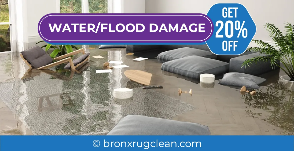 carpet cleaning in bronx, carpet cleaning in new york, carpet cleaning bronx, carpet cleaners in bronx, carpet cleaners in new york, commercial carpet cleaning, commercial carpet cleaning in bronx, bronx rug cleaners, rug cleaning services in bronx, same day carpet cleaning, same day rug cleaning