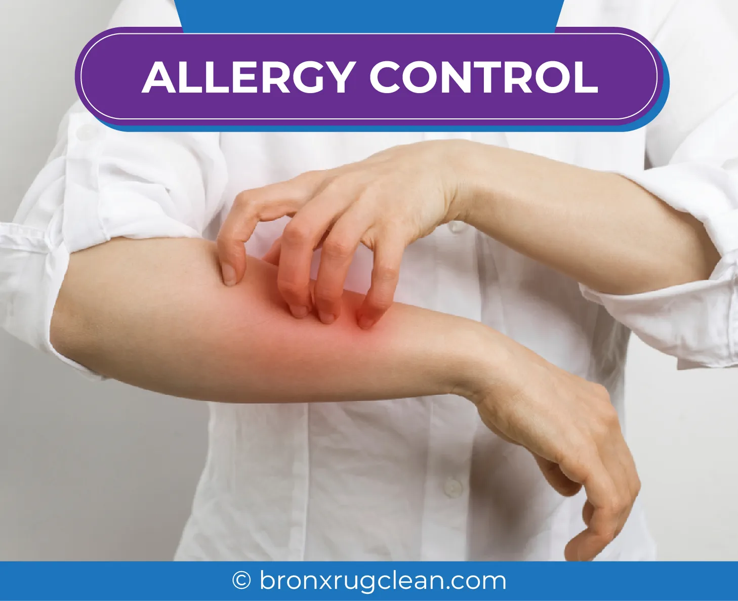 carpet cleaning in bronx, carpet cleaning in new york, carpet cleaning bronx, carpet cleaners in bronx, carpet cleaners in new york, commercial carpet cleaning, commercial carpet cleaning in bronx, bronx rug cleaners, rug cleaning services in bronx, same day carpet cleaning, same day rug cleaning