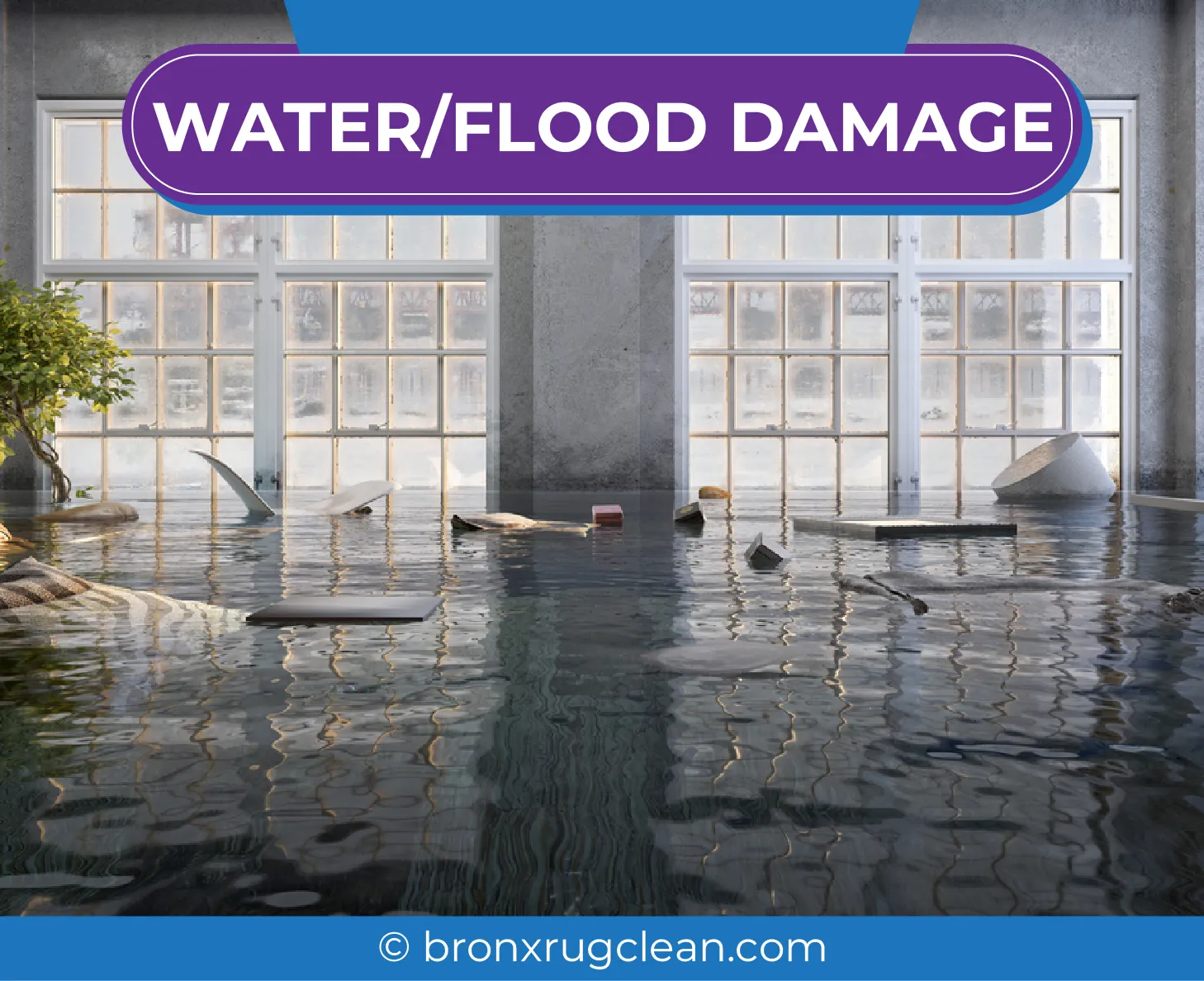 carpet cleaning in bronx, carpet cleaning in new york, carpet cleaning bronx, carpet cleaners in bronx, carpet cleaners in new york, commercial carpet cleaning, commercial carpet cleaning in bronx, bronx rug cleaners, rug cleaning services in bronx, same day carpet cleaning, same day rug cleaning